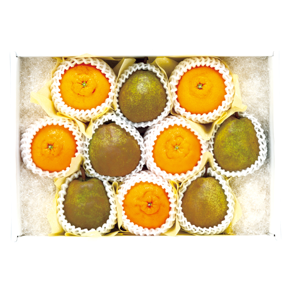 ct[c R`Y  tX啪Y fR|y͂ԁF11{`z